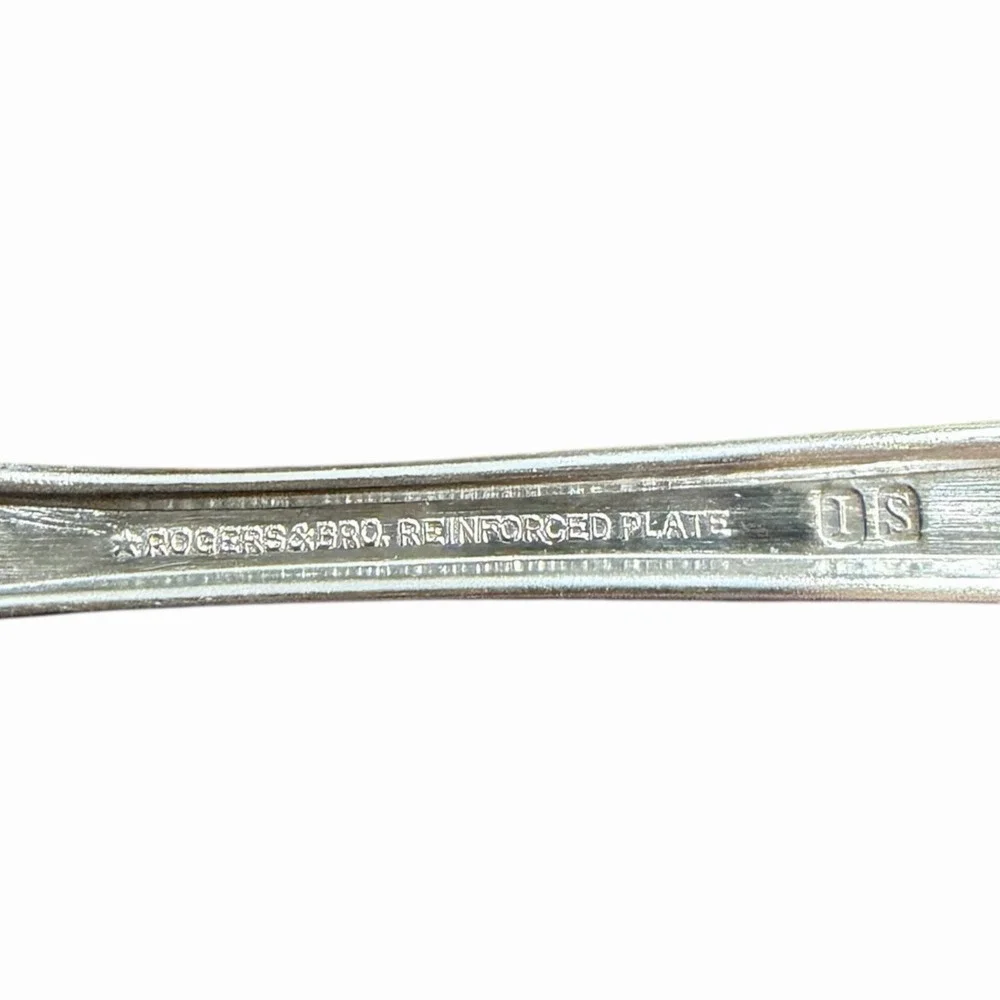Rogers‎ & Bro Reinforced Plate MODERN ROSE International Silver 1949 Soup Spoon